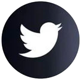 'Ir a la página de Twitter de la fundación Aldaba